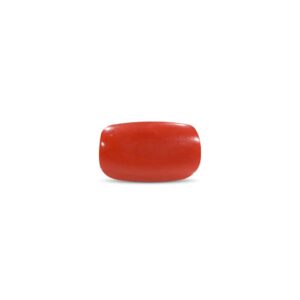 Red Coral - 12.56 Carat
