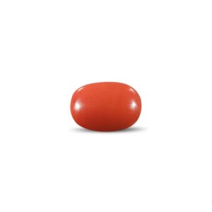 Red Coral - 12.97 Carat