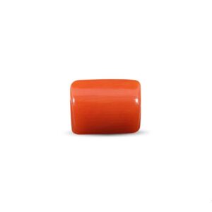 Red Coral (Moonga stone) - 4.00 Carat