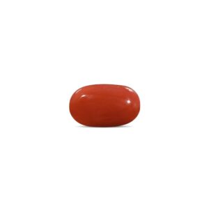 Red Coral - 12.53 Carat