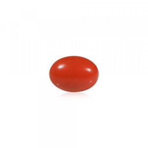 Red Coral - 4.6 Carat