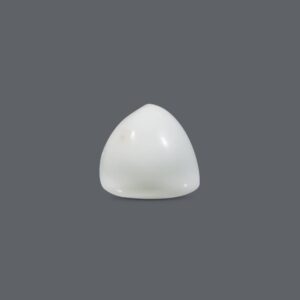 White Coral - 21.54 Carat